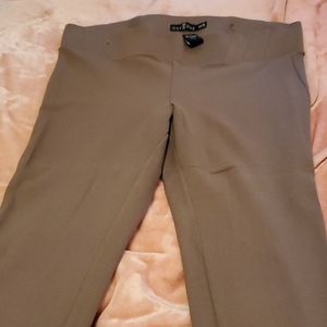 Tan Stretch/jeggings pants.